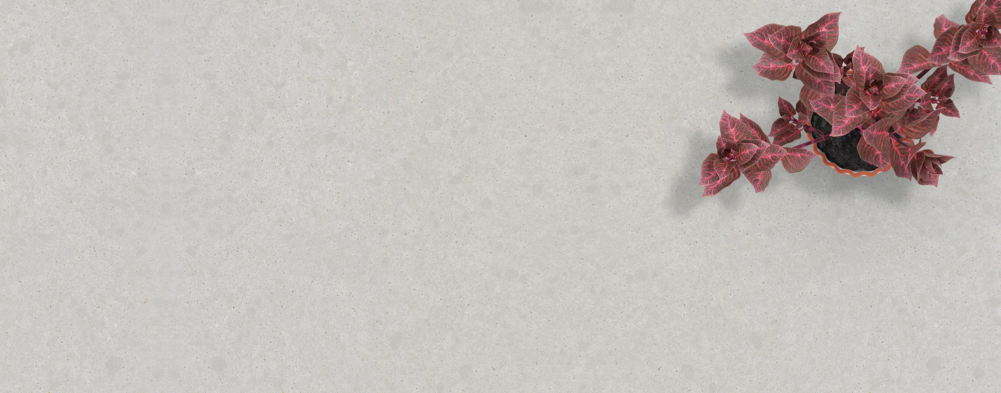 Mora Quartz 725 - Image 2