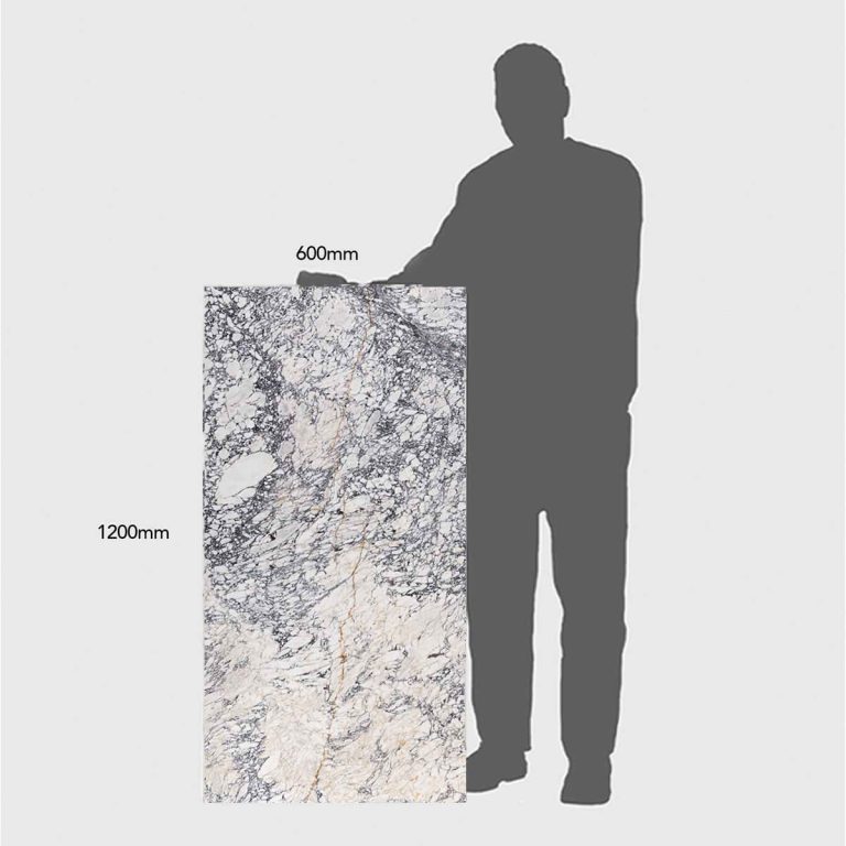 Calacatta Viola Marble XL Slab Tile 1200x600x20 Polished