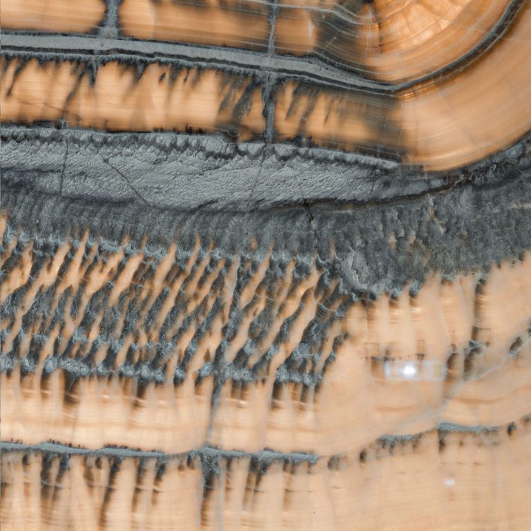 Jurassic Green Onyx Slab 58139